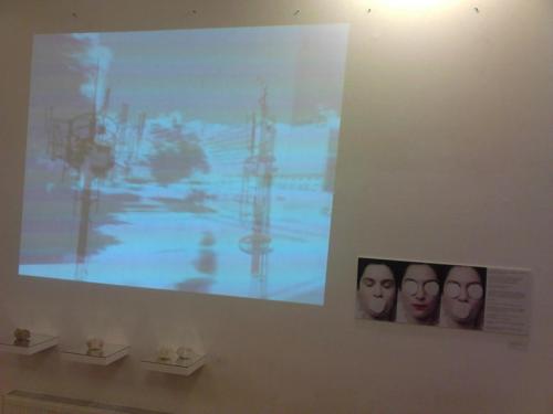 Videoinstalación y obra de la artista y activista chilena Stella Salinero