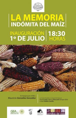 Cartel muestra La memoria indómita del maíz