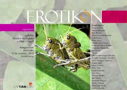 ErotikónExposición colectiva de fotografíaXalapa, 2010.