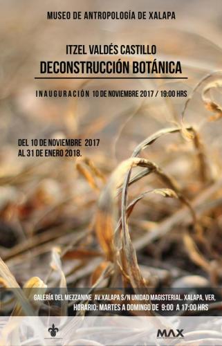 Deconstrucción BotánicaExposición individual de fotografíaXalapa, 2017.